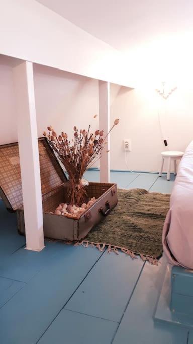 Olga'S Cottage Ντεν Χέλντερ Εξωτερικό φωτογραφία